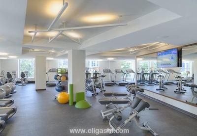 ماریوت مارکوس وشیگتن، دیسی