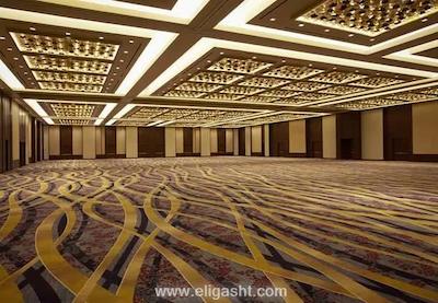 ماریوت مارکوس وشیگتن، دیسی