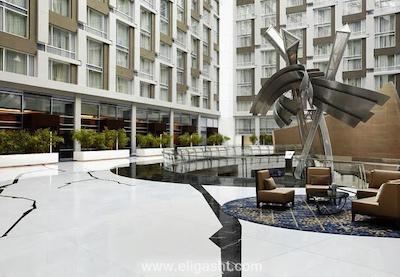 ماریوت مارکوس وشیگتن، دیسی