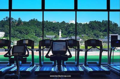 اینترکنتینانتال کوکس