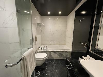 رادیسون بلو هتل نیو دهلی پاسچیم ویهار