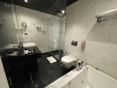 رادیسون بلو هتل نیو دهلی پاسچیم ویهار