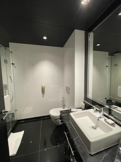 رادیسون بلو هتل نیو دهلی پاسچیم ویهار