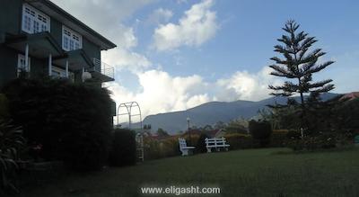 گرین استارز هتل