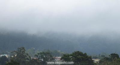 گرین استارز هتل