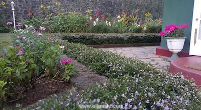 گرین استارز هتل