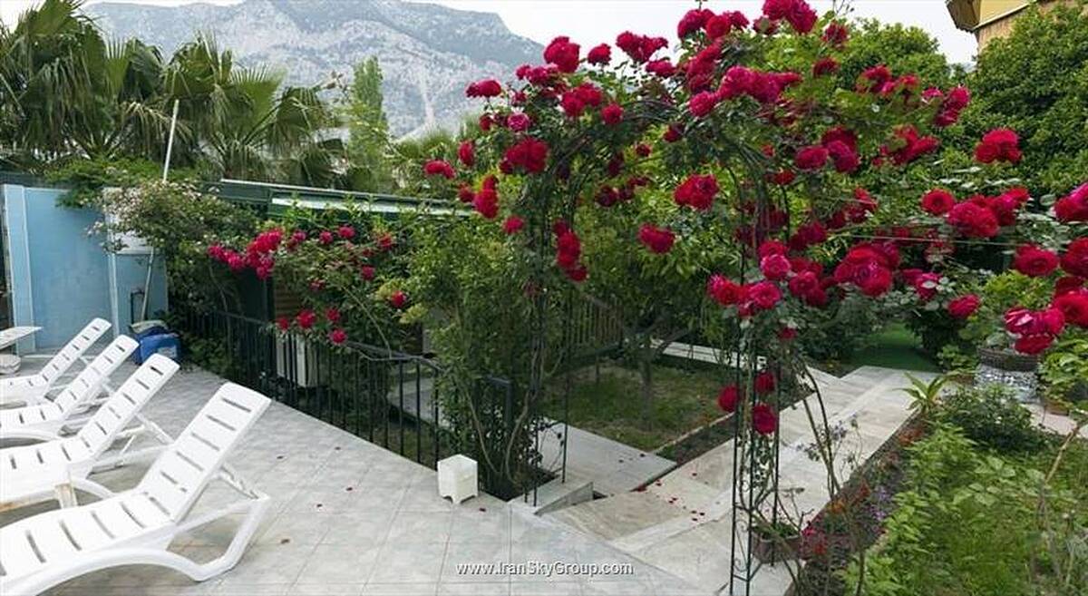 نوی بلو استارز هتل