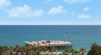 بوتانیک پلاتینوم