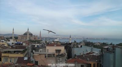 آریفه سلطان