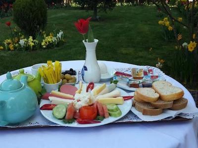 پندیک مارین