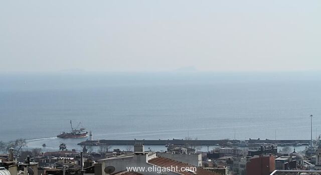 سولیس