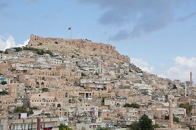 هیلتون گاردن این ماردین