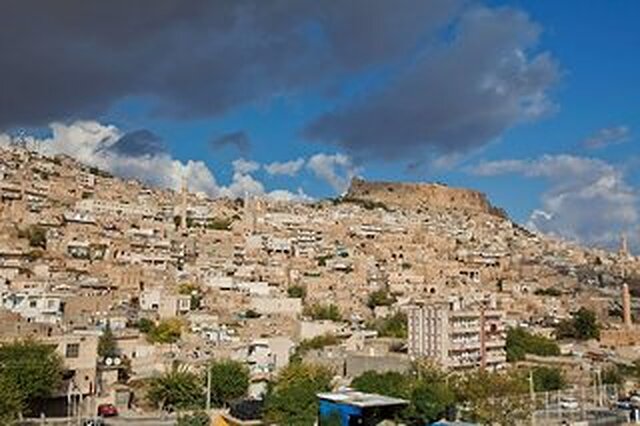 هیلتون گاردن این ماردین
