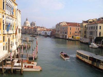 کورته دی گرسی