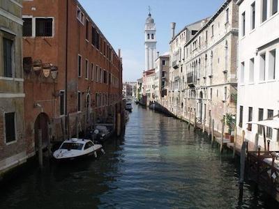 کورته دی گرسی