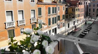 کورته دی گرسی