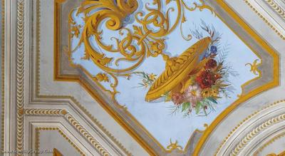 کورته دی گرسی