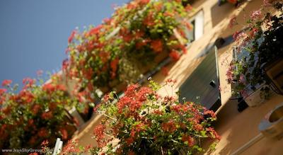 هتل ال کدگا