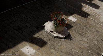 هتل ال کدگا