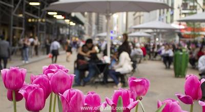 آربر سیتی هتل