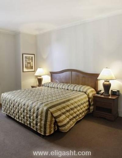 آربر سیتی هتل