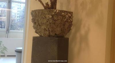 باجت هتل فلیپپر