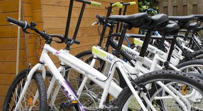 باجت هتل فلیپپر