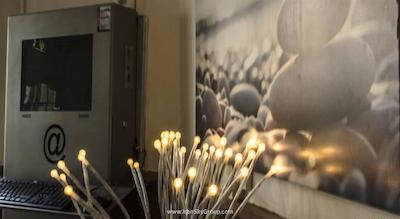 باجت هتل فلیپپر