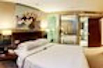 پاویلیون سنتری تاور شنژن