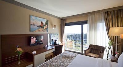 ولی هتل استانبول