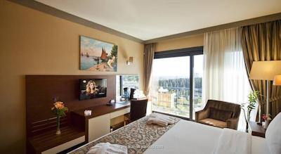 ولی هتل استانبول