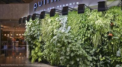 پولمن سیدنی هاید پارک