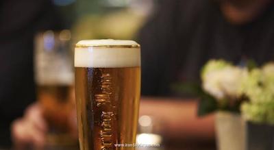 باسشن هتل هارلم ولسن