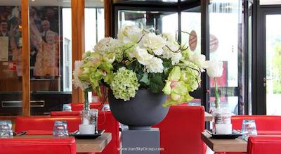 باسشن هتل هارلم ولسن