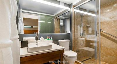 حیات پلیس ایروان