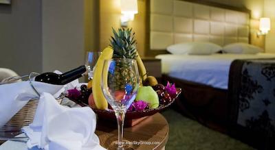 کاملیا سلین هتل