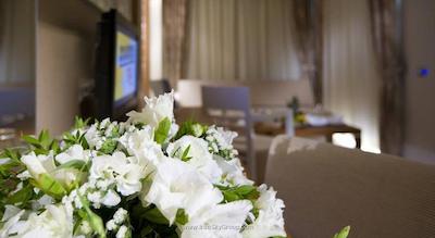 کاملیا سلین هتل