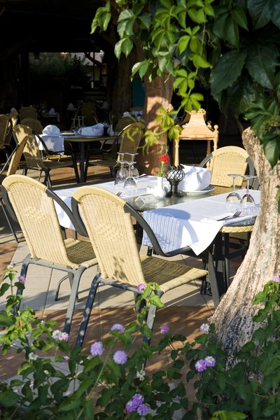 کاملیا سلین هتل