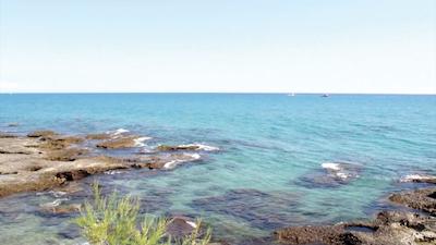 الیت کزاوغلو هتل