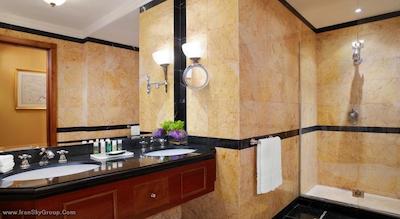 د وستین اکسلسیور رم