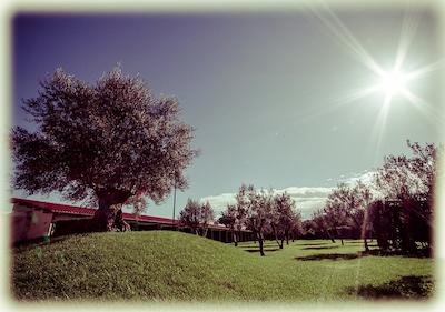 آل سیزنز گاردن هتل اند لیشور