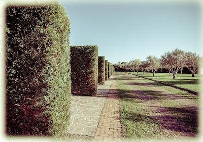 آل سیزنز گاردن هتل اند لیشور