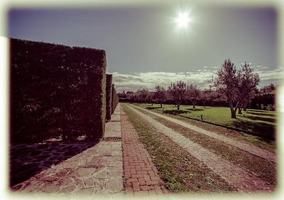 آل سیزنز گاردن هتل اند لیشور