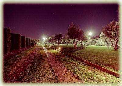 آل سیزنز گاردن هتل اند لیشور