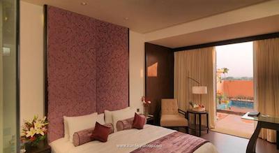 رویال ارکید