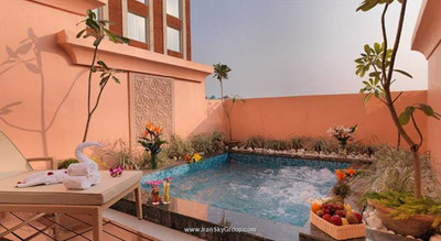 رویال ارکید