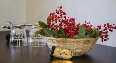 فلمینیو ویلیج