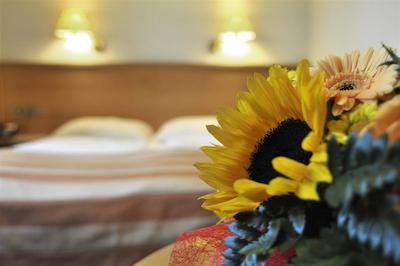 سنترال مولیتور