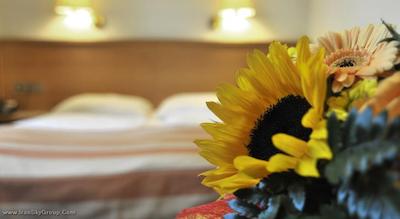 سنترال مولیتور