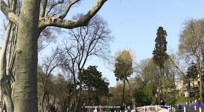 گرند سیگنور